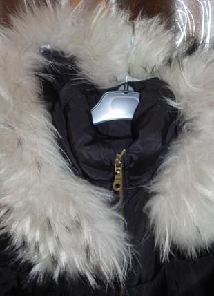 Черная куртка удлиненная на холофайбере р.s  (ог 92) мех енота5 фото