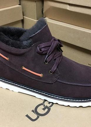 Мужские ботинки ugg david beckham lace brown