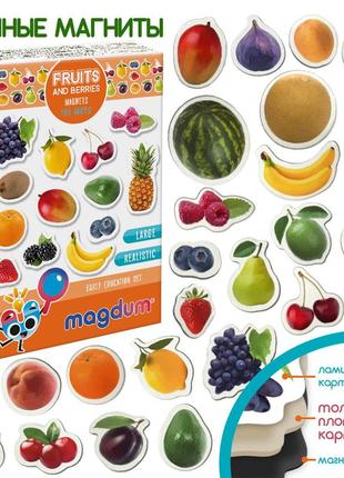 Набор магнитов "фрукты и ягоды",ml4031-11en
 25 магнитов, в кор. 17*12*4 см, украина, magdum