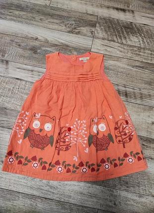 Вельветова сукня плаття сова дитячий одяг для дівчинки сарафан
