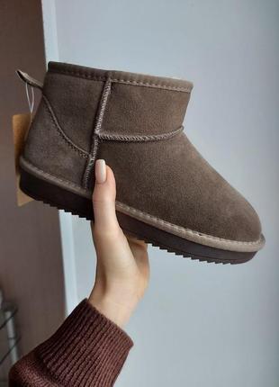 Жіночі черевики ugg ❄️❄️