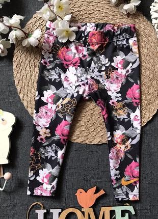 Лосини найк