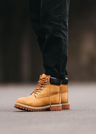 Зимові черевики timberland ginger1 фото