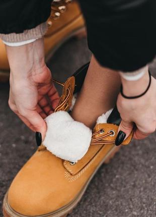 Зимові черевики timberland ginger6 фото