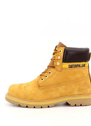 Чоловічі ботінки cat caterpillar мужские ботинки  зимние