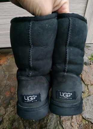 Угі ugg6 фото