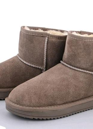 Жіночі уггі (ugg). натуральний замш