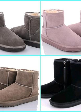 Уги женские (ugg)2 фото