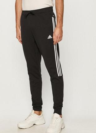 Спортивні штани adidas sportwear gm3827