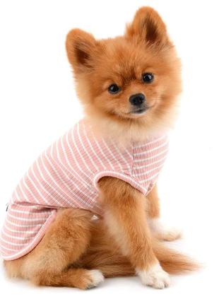 Костюм (футболка) для собак и котов в полоску, размер s, розовый3 фото