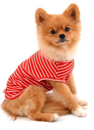 Костюм (футболка) для собак та котів у смужку, розмір s, червоний3 фото