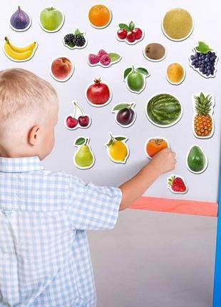 Набор магнитов magdum "фрукты и ягоды" ml4031-11 en