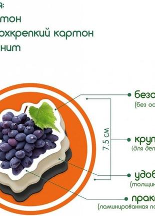 Набор магнитов magdum "фрукты и ягоды" ml4031-11 en