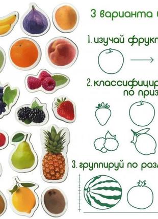 Набор магнитов magdum "фрукты и ягоды" ml4031-11 en