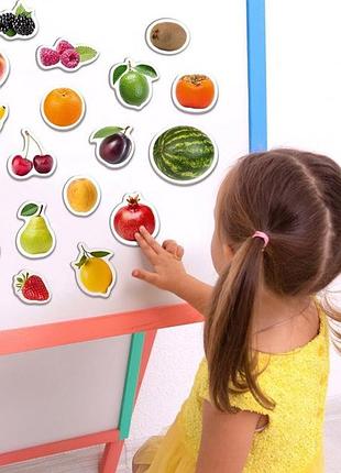 Набор магнитов magdum "фрукты и ягоды" ml4031-11 en