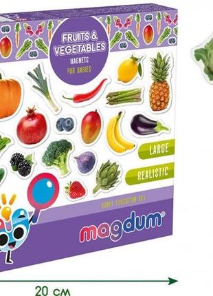 Набір магнітів magdum "фрукти й овочі" ml4031-15 en2 фото