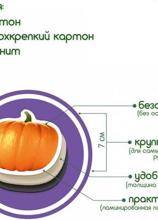 Набор магнитов magdum "фрукты и овощи" ml4031-15 en4 фото