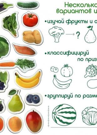 Набор магнитов magdum "фрукты и овощи" ml4031-15 en5 фото