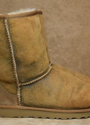 Уггі ugg australia classic novelt черевики зимові овчина цигейка. оригінал. 35 р./23 див.