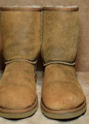 Уггі ugg australia classic novelt черевики зимові овчина цигейка. оригінал. 35 р./23 див.2 фото