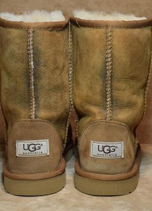 Угги ugg australia classic novelt ботинки зимние овчина цигейка. оригинал. 35 р./23 см.3 фото