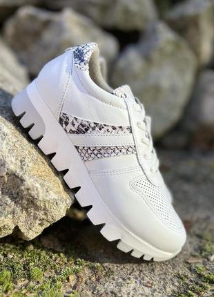 Стильні базові білі кросівки tamaris /німеччина/ з натуральної шкіри5 фото