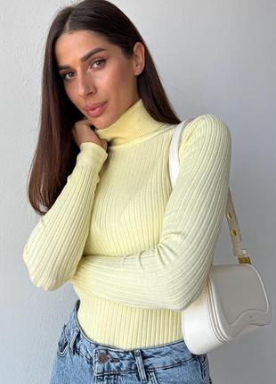 Гольф водолазка  в широкий рубчик