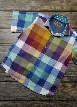 Теніска, сорочка з коротким рукавом