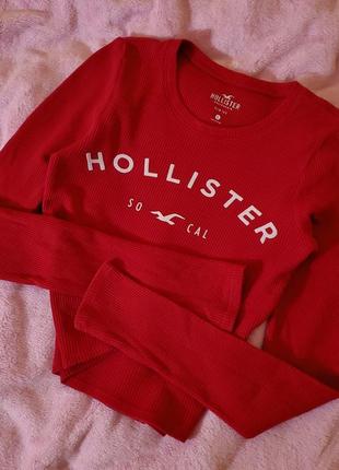 Кофта, лонг, топ, hollister оригінал світшот