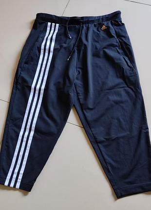 Стортивні штани бріджі adidas sobakovlite