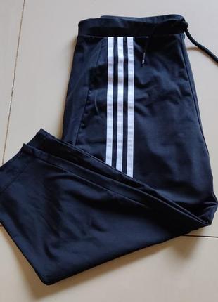 Стортивні штани бріджі adidas climalite2 фото