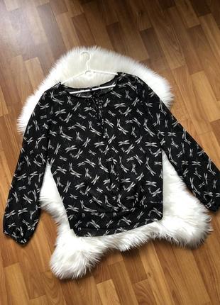 Блузка блуза 10