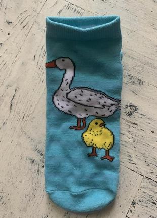 Подарунковий набір шкарпеток friends7 фото