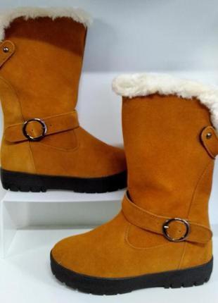 Жіночі замшеві зимові чоботи уггі2 фото