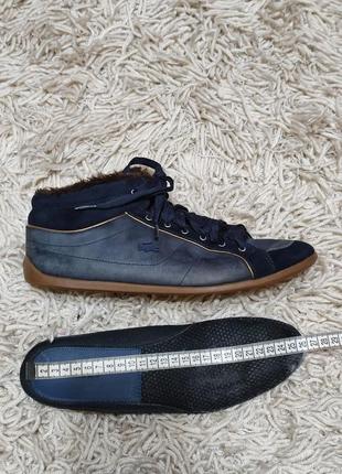 Шкіряні,зимові черевики унісекс lacoste 39,5 розмір,кеди,черевики1 фото