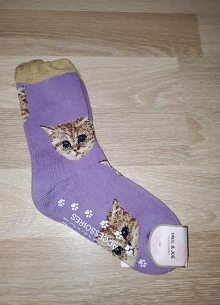 Теплые махровые носки с ушками, япония1 фото