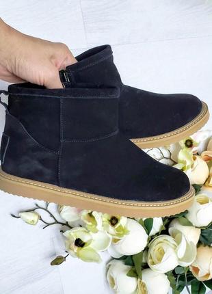 Женские замшевые ботинки угги зимние на овчине черные ugg mini1 фото