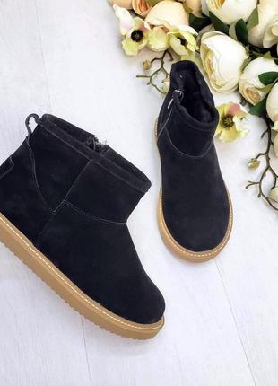 Зимние женские замшевые ботинки угги с натуральным мехом черные ugg mini