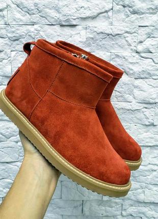 Замшевые женские угги зимние ботинки на овчине ugg mini5 фото