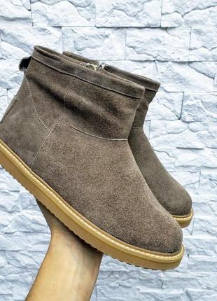 Замшевые женские угги зимние ботинки на овчине ugg mini2 фото