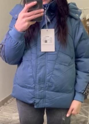 Курка  стильна єврозима