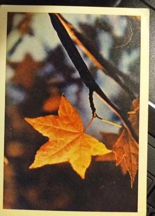 Листівка 1964 актуально