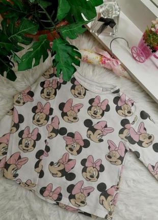 Реглан minnie mouse zara