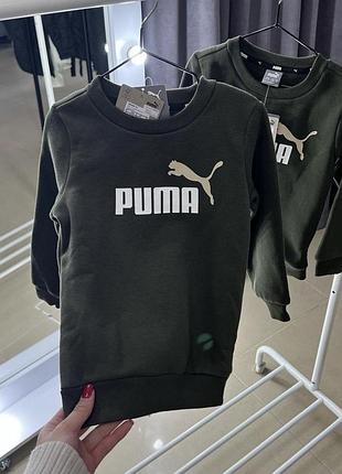 Свитшот