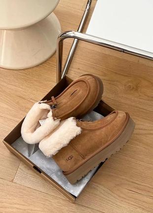 Уггі ugg1 фото