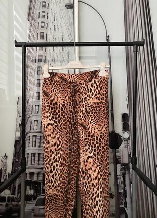 Штани, брюки в леопардовий принт guess