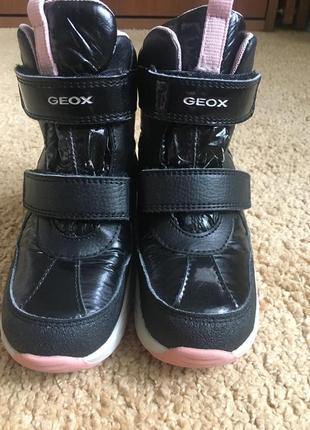 Черевики geox