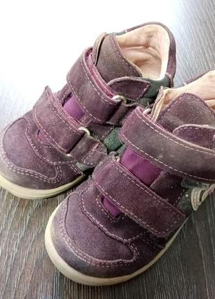 Шкіряні черевики pepino на дівчинку 23 розмір 14 см устілка1 фото