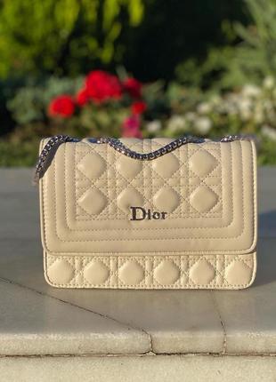 Сумка у стилі dior
