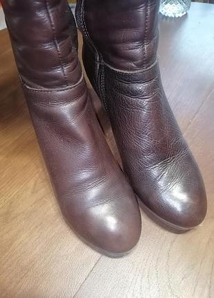 Чоботи шкіряні високі